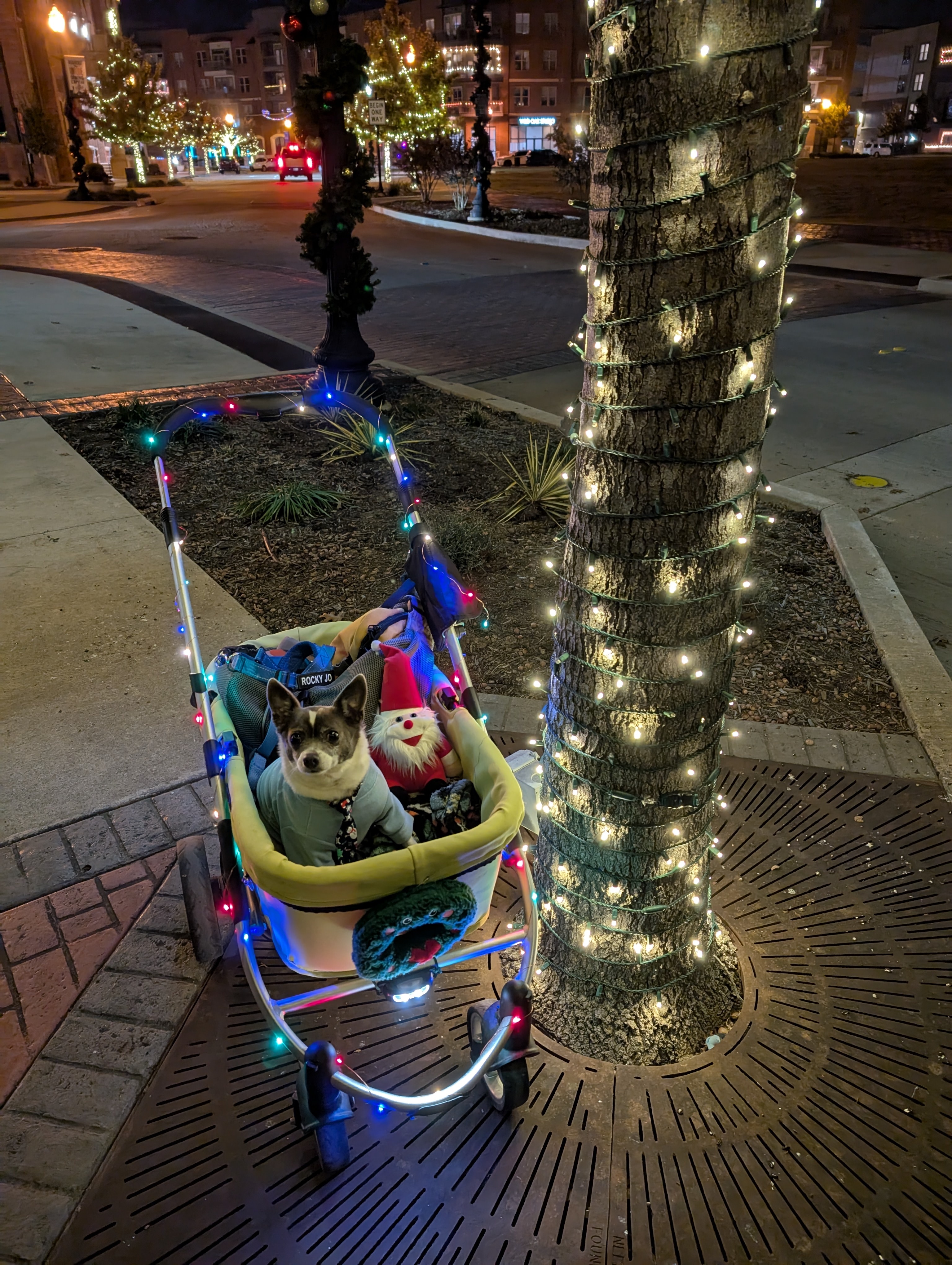 Enjoying a night out in downtown Roanoke.