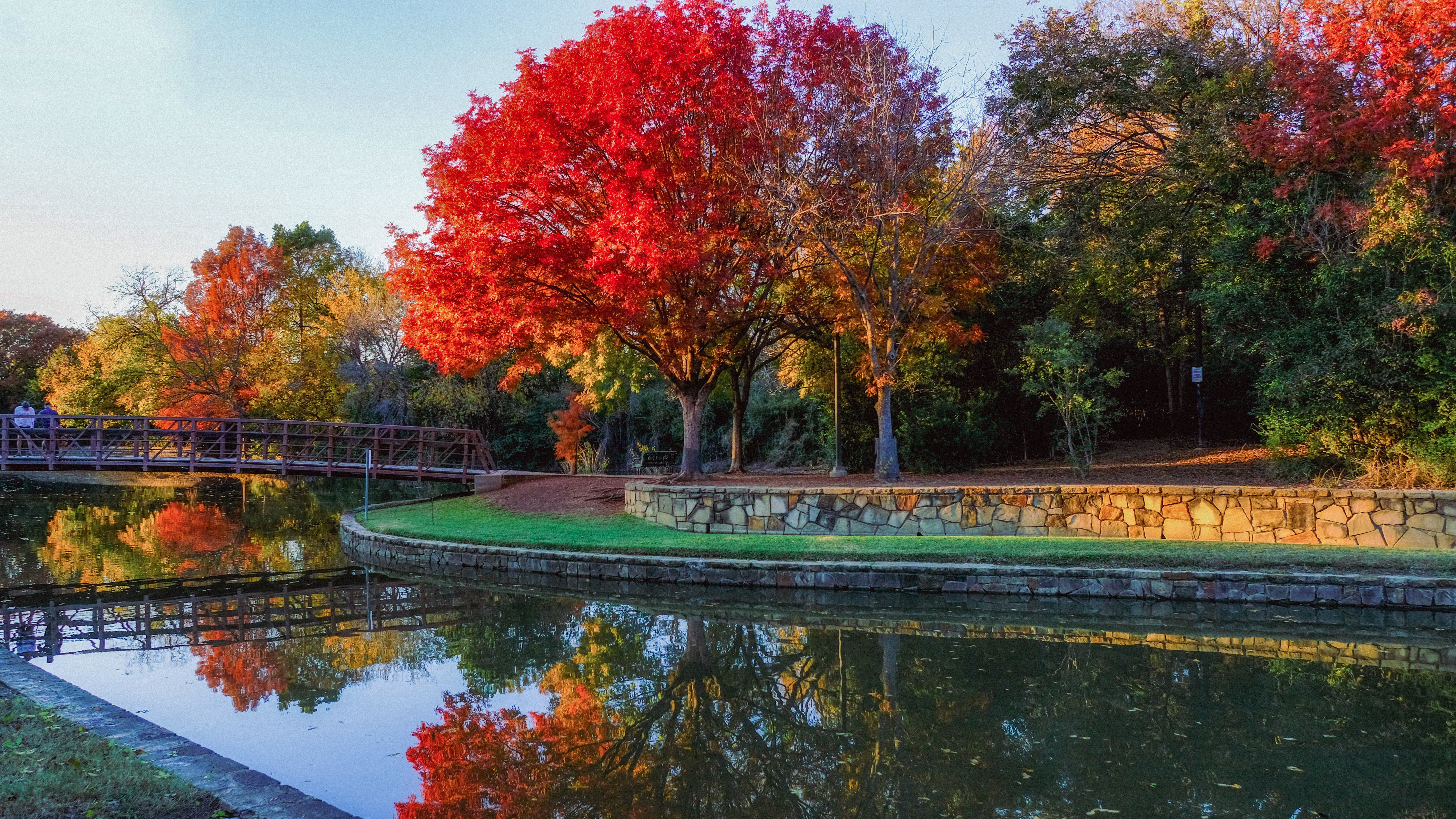 North Texans share photos of fall foliage 2025