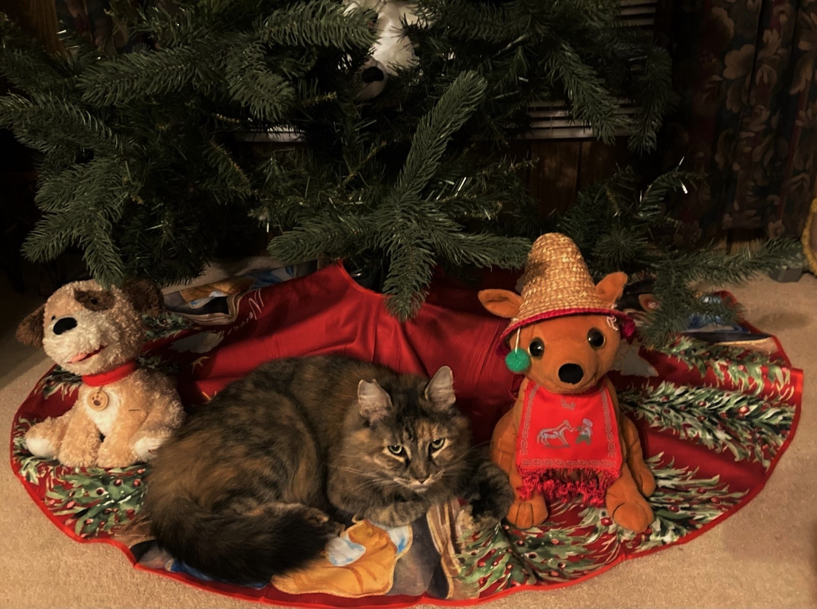 Miss Kitty came to our door 6 years ago and never left. She loves to be<br />
under<br />
the Christmas tree with the two stuffed animals. We don’t put the<br />
presents under until Christmas so she can enjoy her favorite spot!<br />
She owns Kenneth & Nadeen Murphree