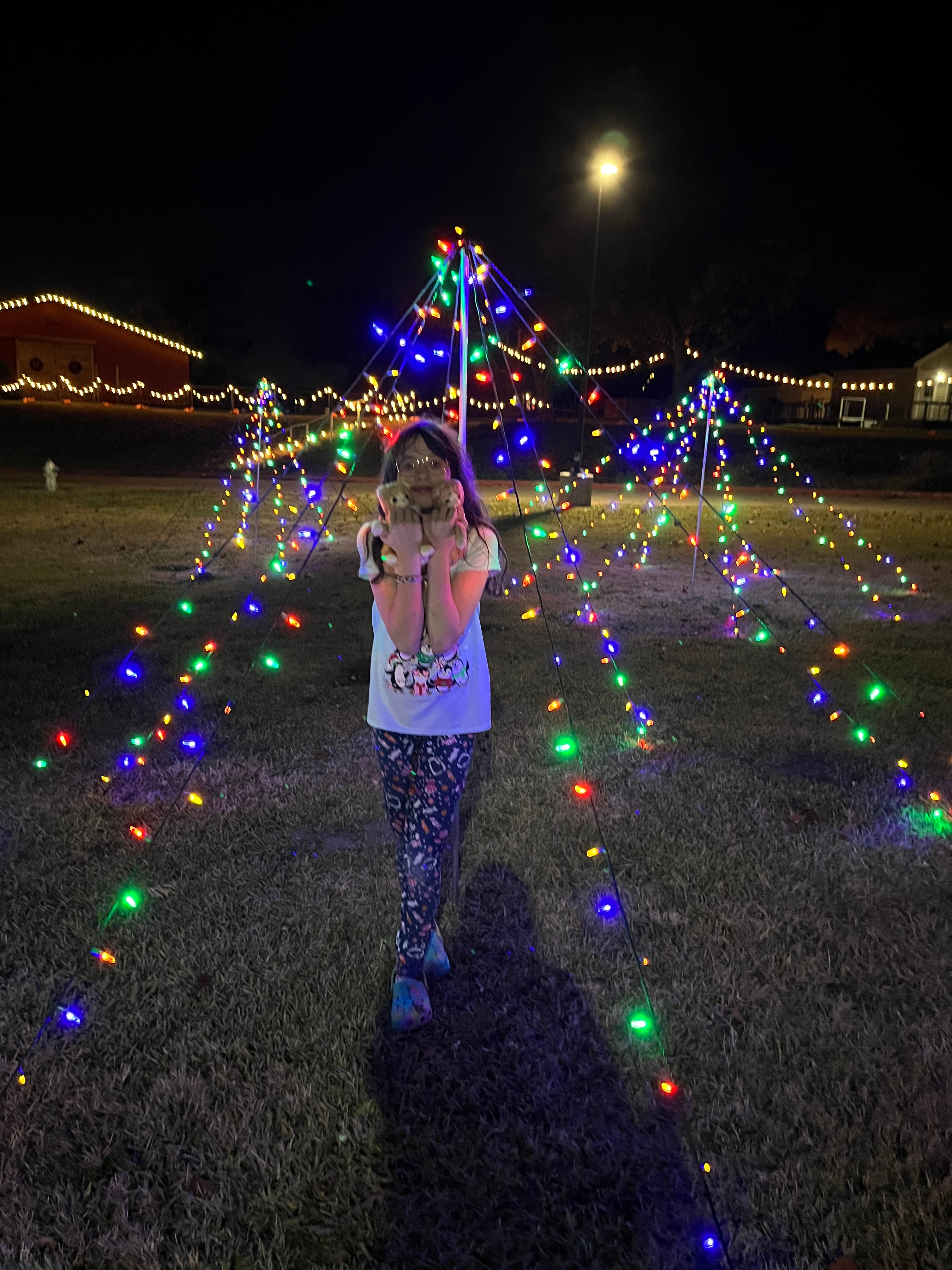 Snow Globe Fun in Fairview, Texas with Allison