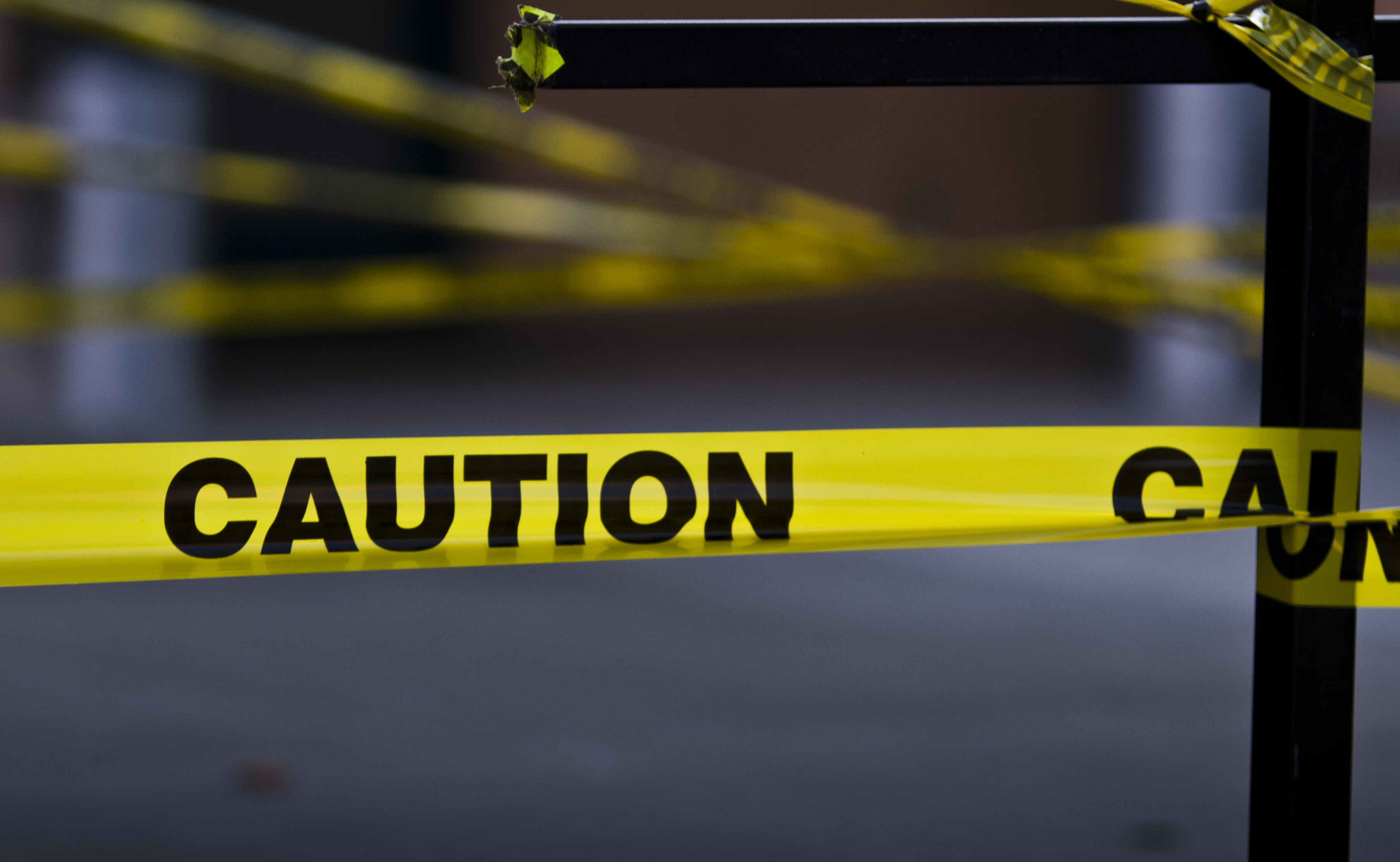 Man dies after dog attack in Dallas home, police say