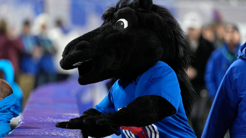 Dec 7, 2024; Charlotte, NC, USA; The mascot for the Southern Methodist Mustangs during the second quarter against the Clemson Tigers in the 2024 ACC Championship game at Bank of America Stadium. Mandatory Credit: Jim Dedmon-Imagn Images