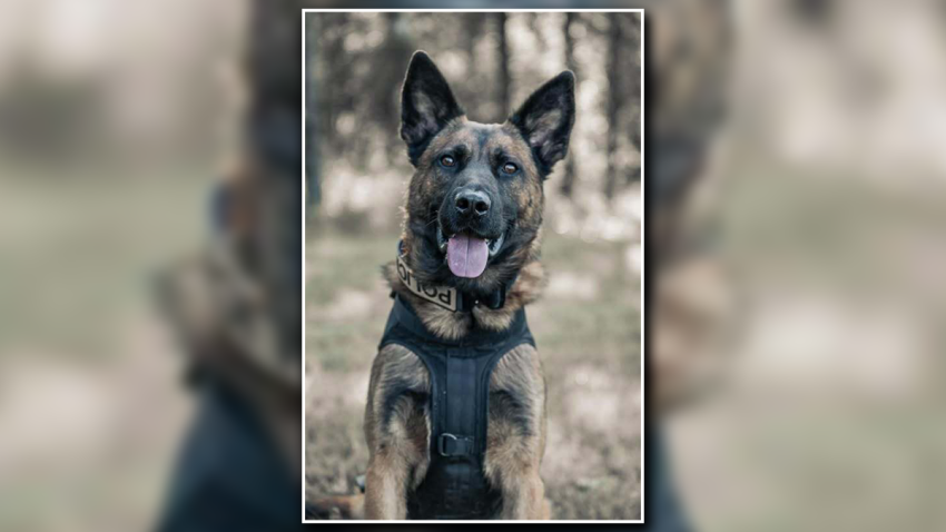 K-9 Officer Max