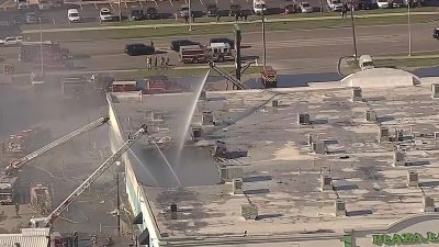 Exotic animals killed, roof collapses in Dallas Plaza Latina fire