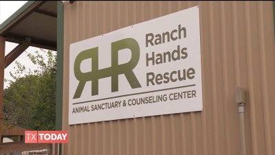 Celebrating local animal heroes: Ranch Hands Rescue