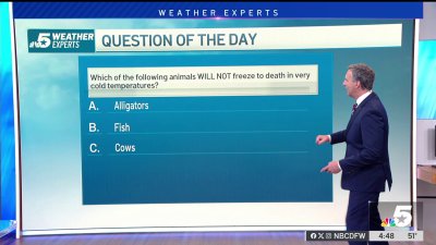 Weather Quiz: Animals and cold temperatures