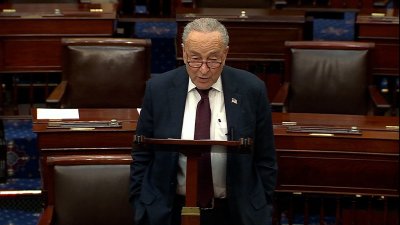 Schumer: Oval Office should find American buyer for TikTok