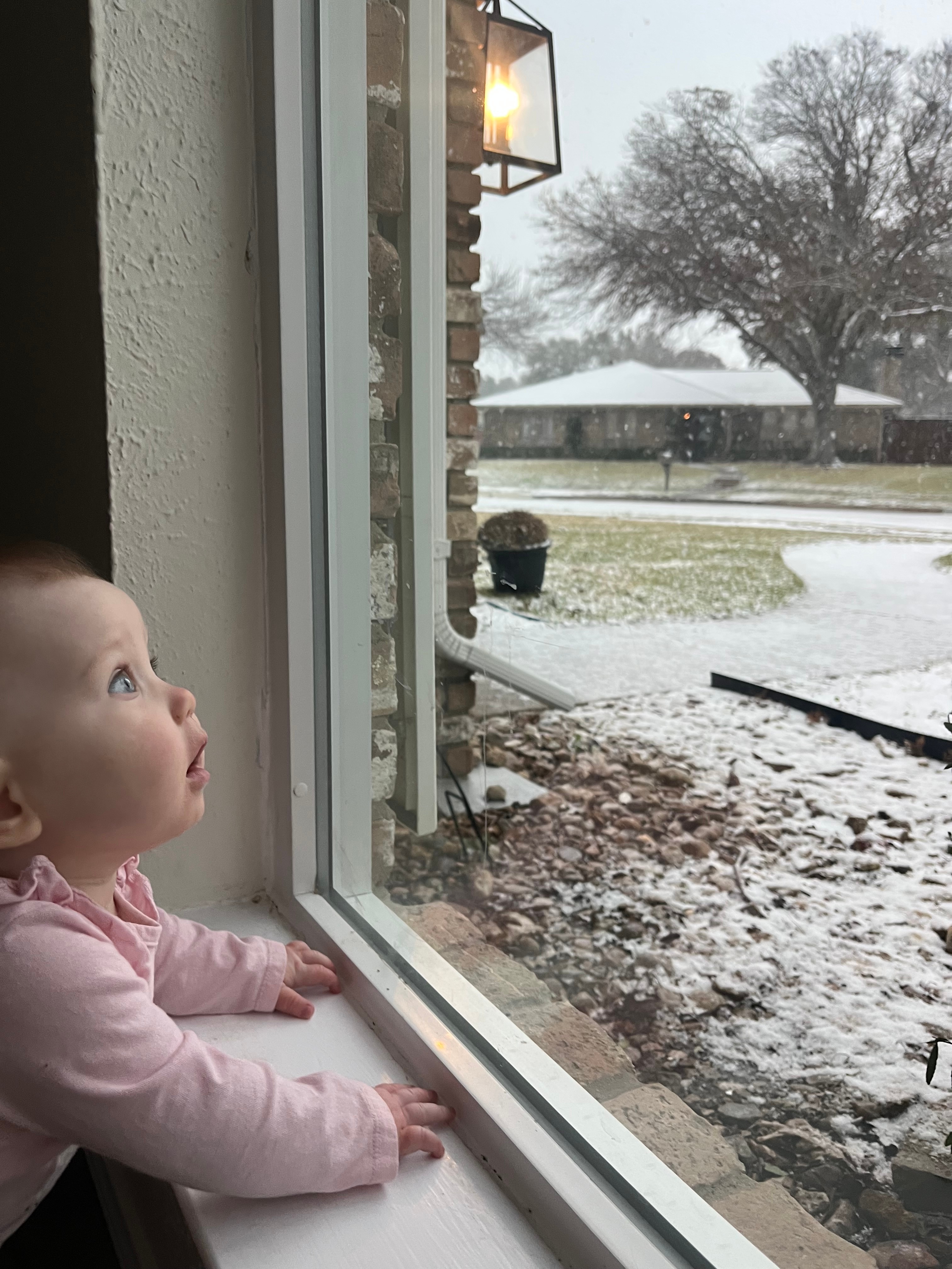 Ellie’s first snow, Plano TX