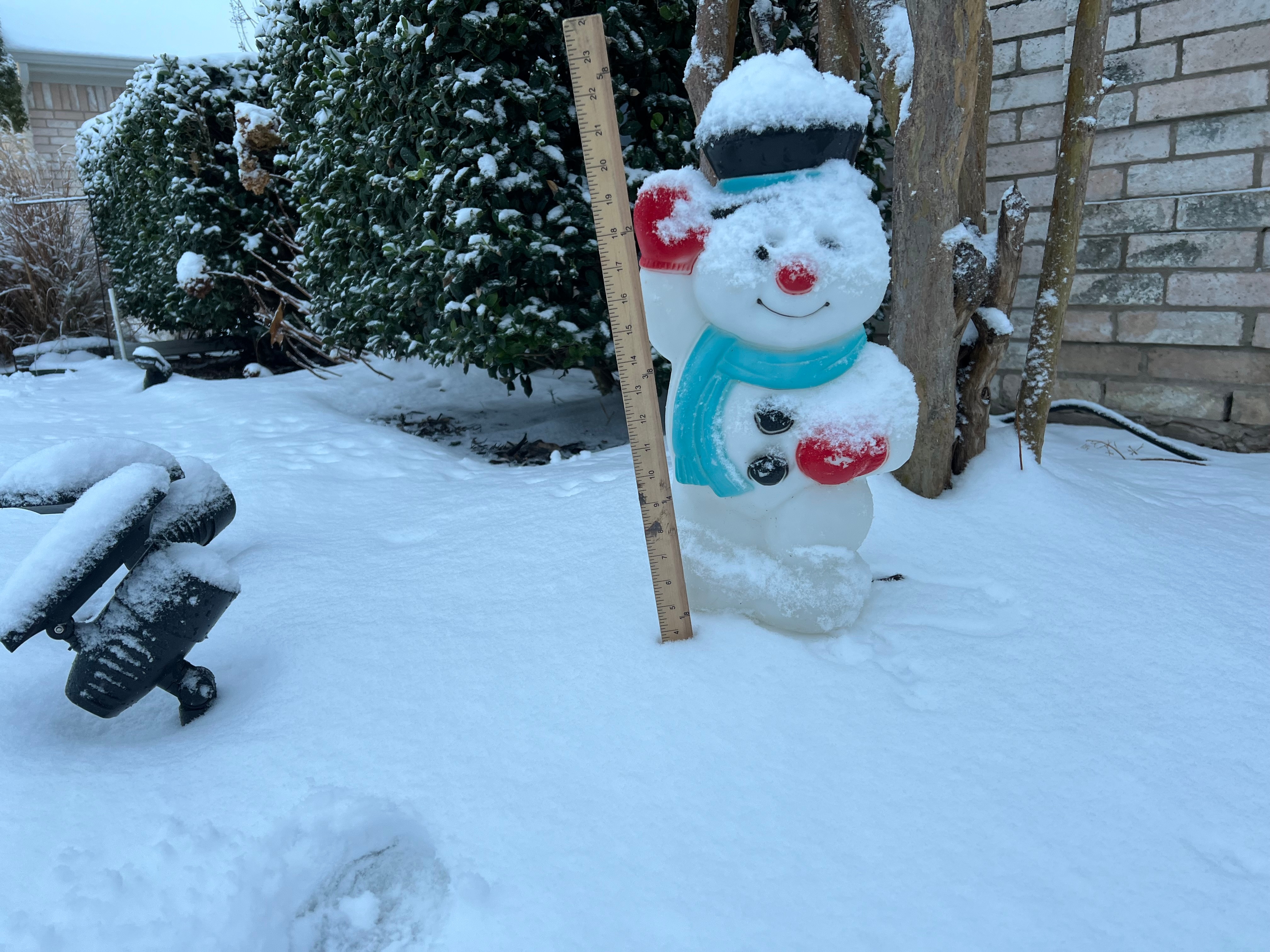 Friday, Jan 10, 2025. Snowman with measure stick