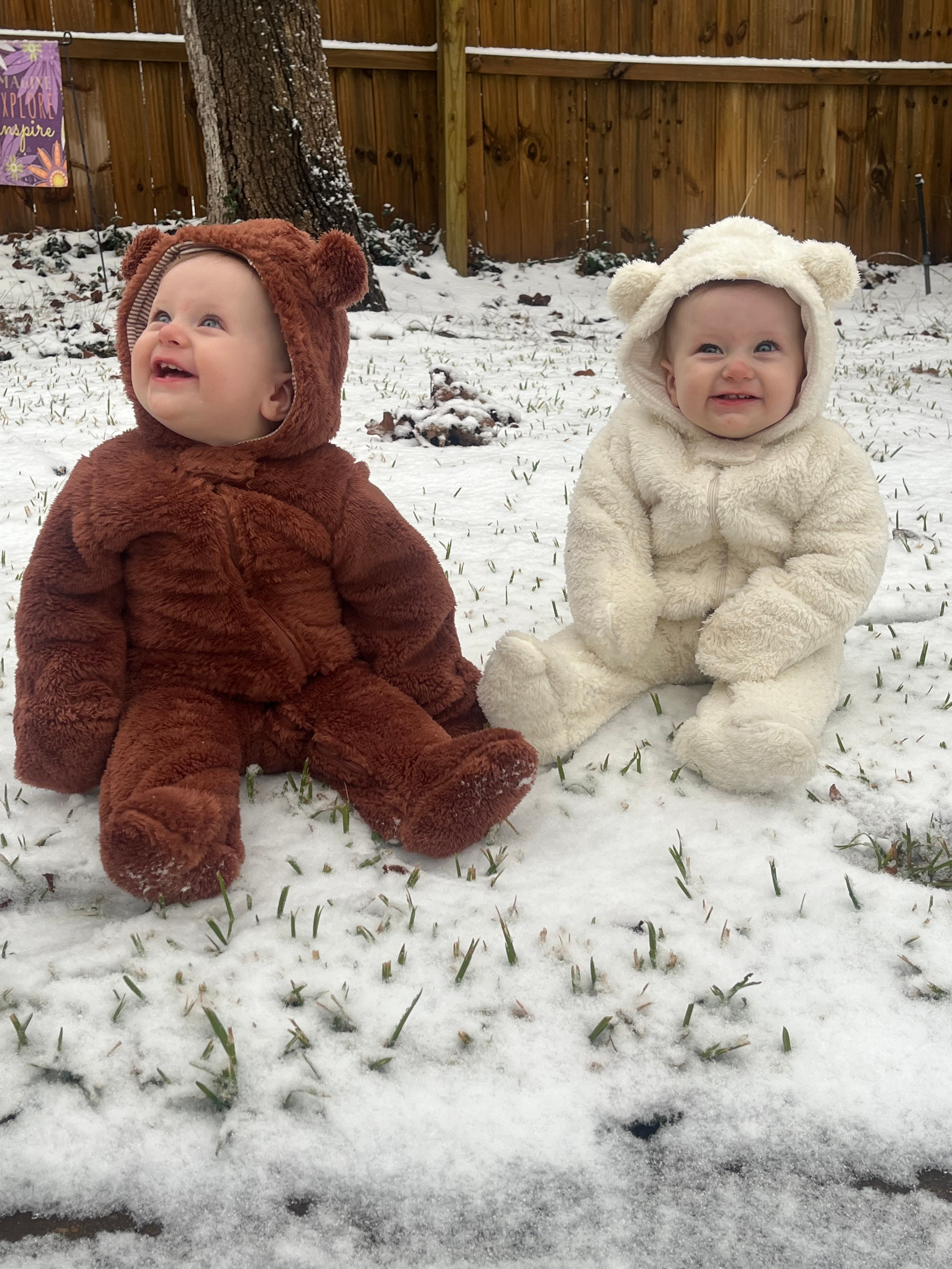 Arlington didn’t see much snow but it was enough for some bears to try to take over. Bear cubs,  Cori and Carter, 9 months, enjoy their first snow day!