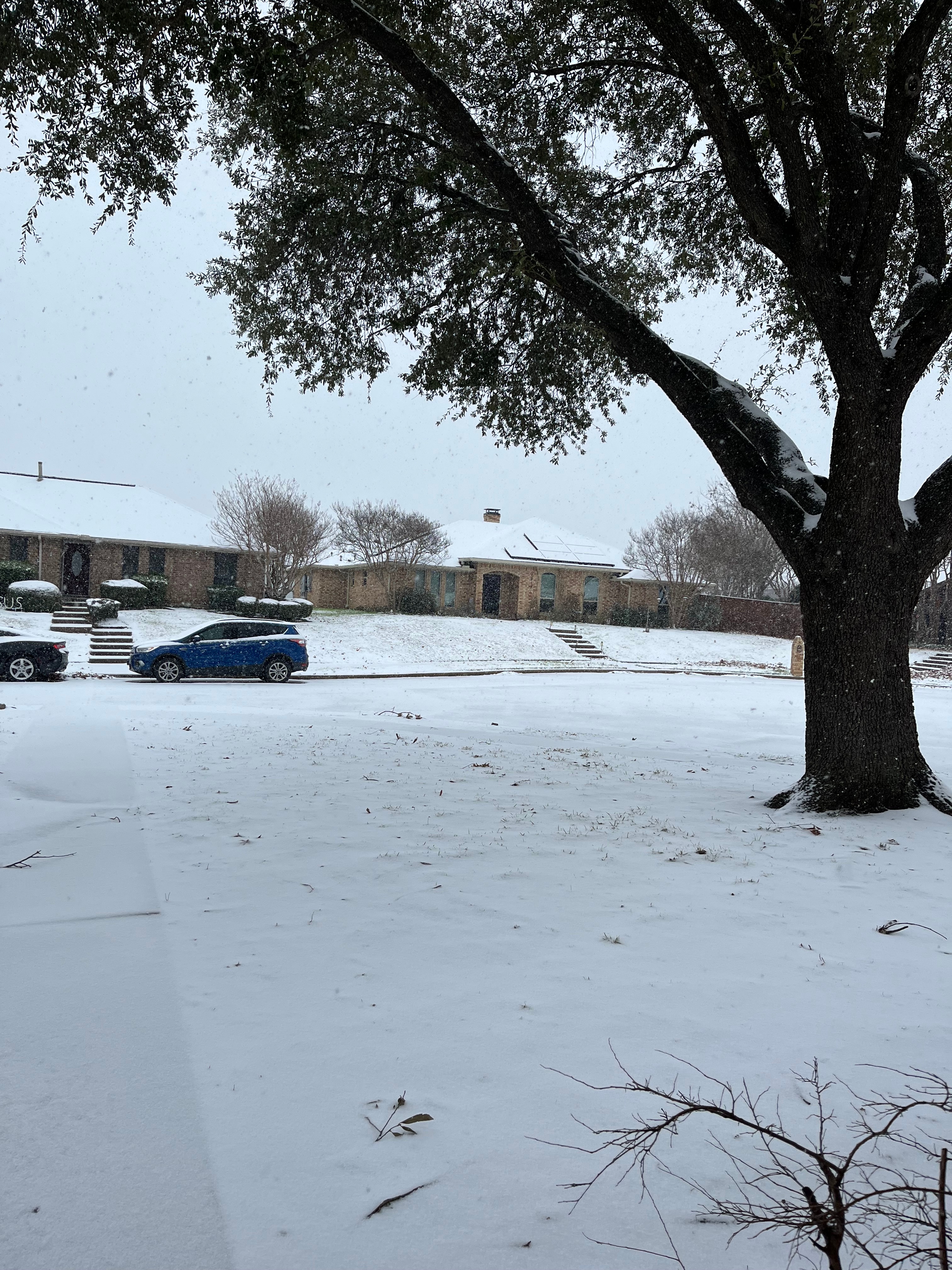 Have loved this snow event from inside my warm house!  But just had to get a video of the last little dusting coming down. Snow days are not just for kids. This old 72 year-old has enjoyed them too!  But I have to say, two days are enough. I’m ready to get back out and about!<br />
Carolyn Adams<br />
Carrollton TX<br />
Sent from my iPhone