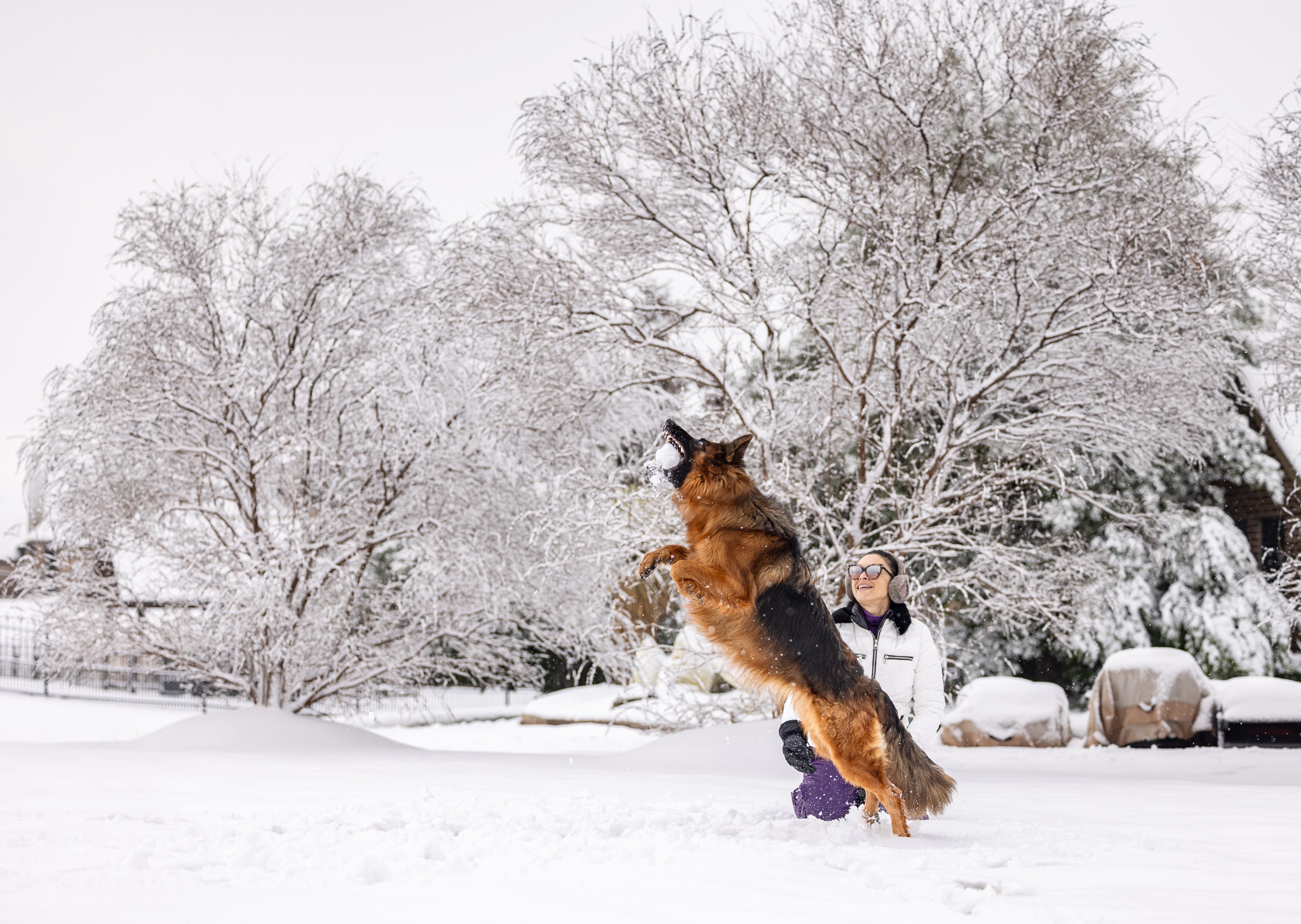 This is Maddie’s first snow fall with my wife Natalie.  Maddie just had a total hip replacement surgery 4 months ago and has recovered flawlessly 🙂
Hopefully you can use these.
Thanks
Dwayne Rush