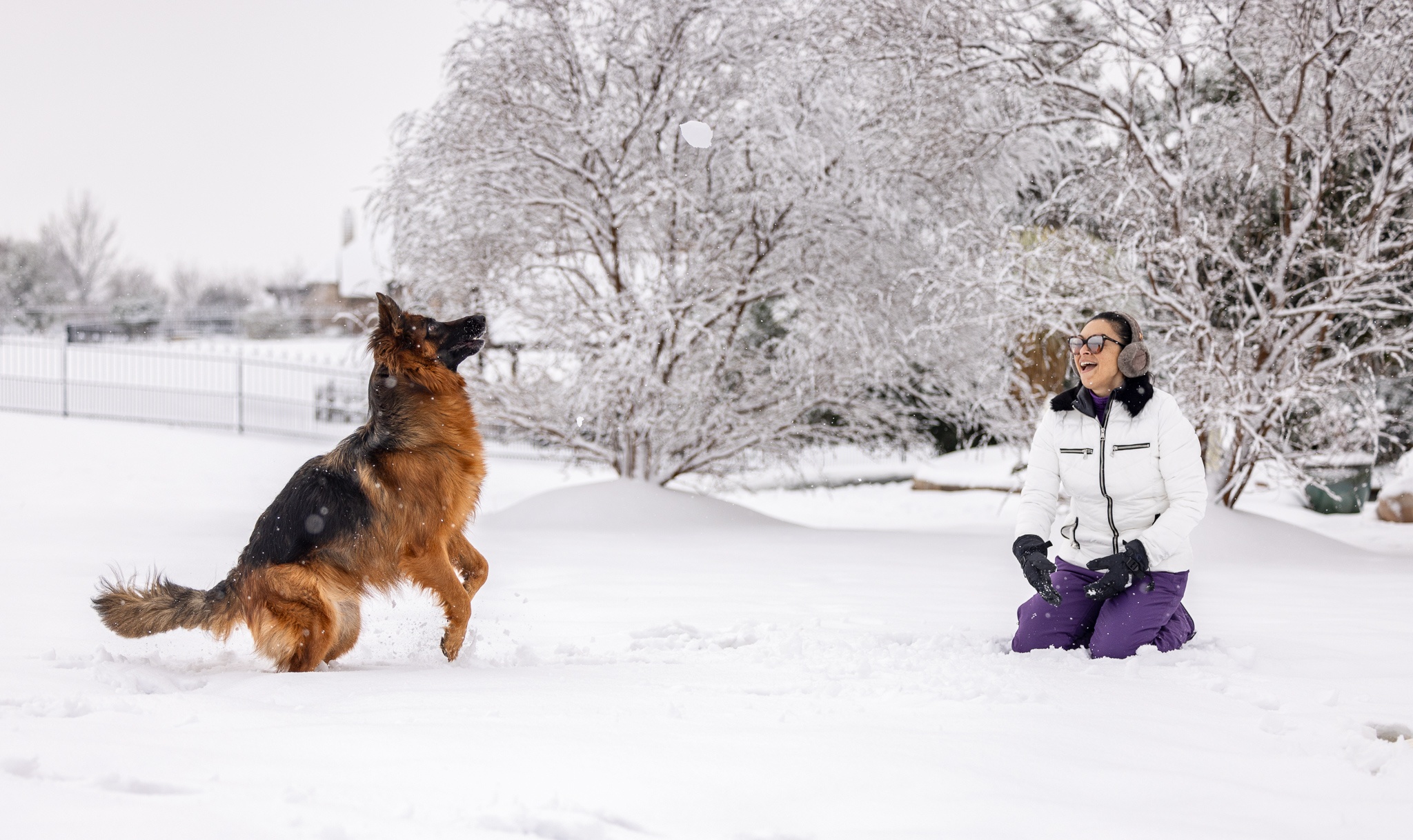 This is Maddie’s first snow fall with my wife Natalie.  Maddie just had a total hip replacement surgery 4 months ago and has recovered flawlessly 🙂
Hopefully you can use these.
Thanks
Dwayne Rush