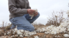 Texas cotton farmers want you to pick natural fabrics in a ‘fast fashion' world