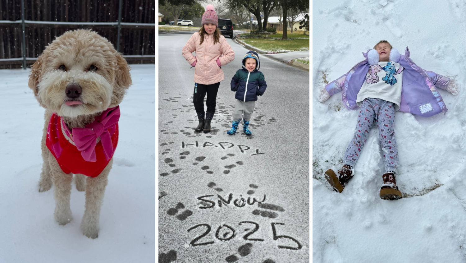 Snow day! Kids and pets enjoy the first snow day of 2025