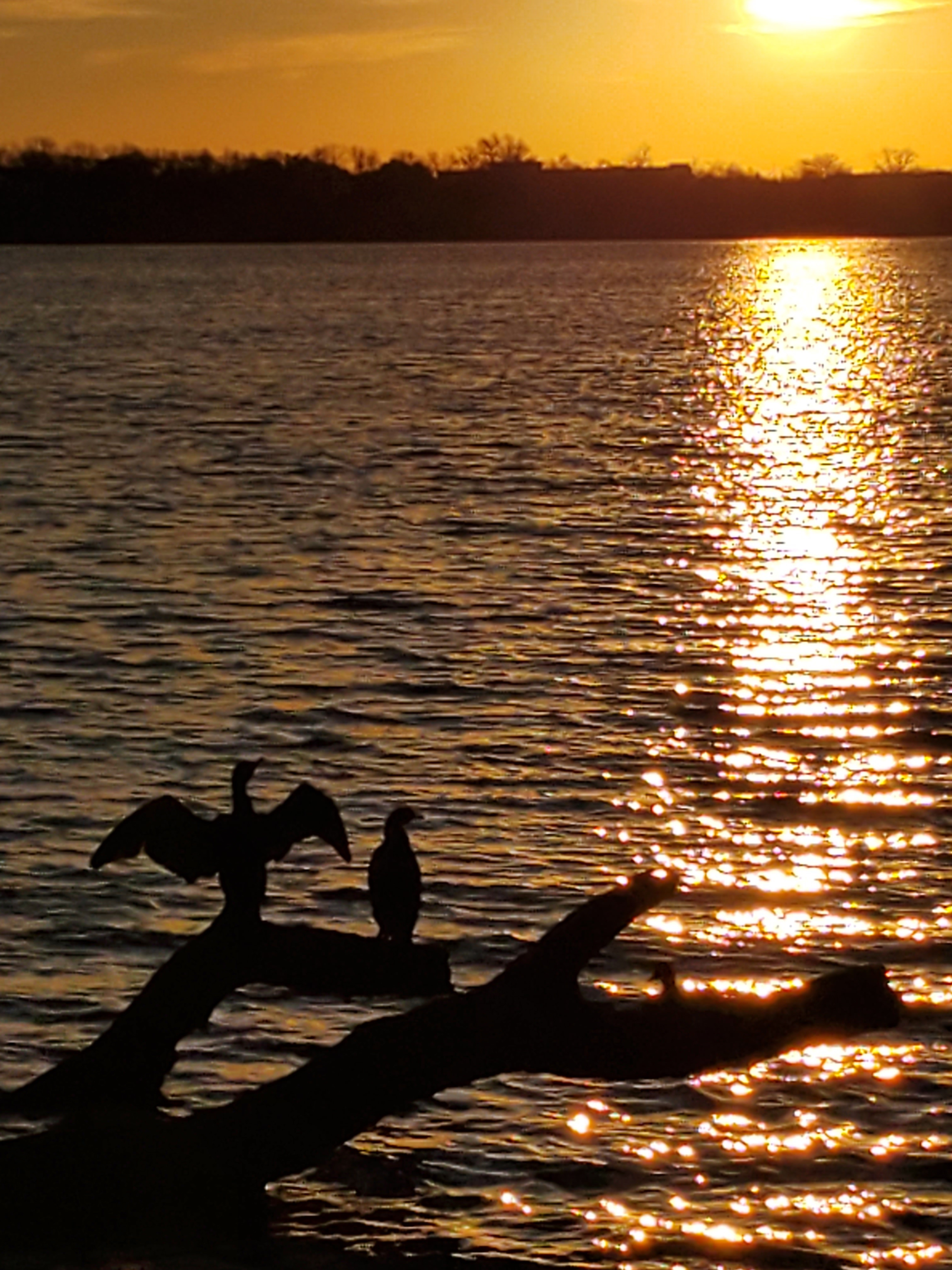 Another early morning run from Saturday 1/25 at White Rock Lake. Enjoy!