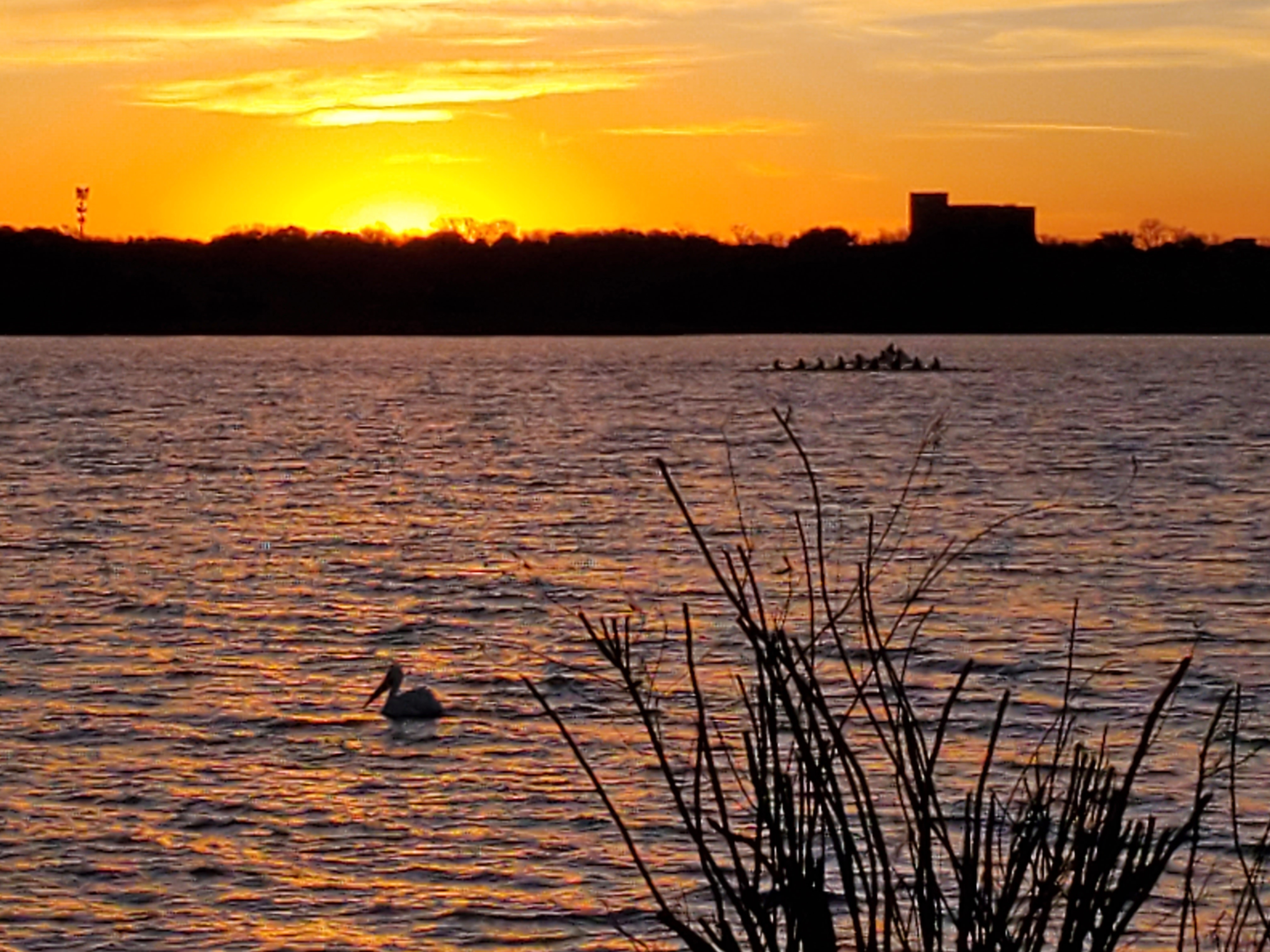 Another early morning run from Saturday 1/25 at White Rock Lake. Enjoy!