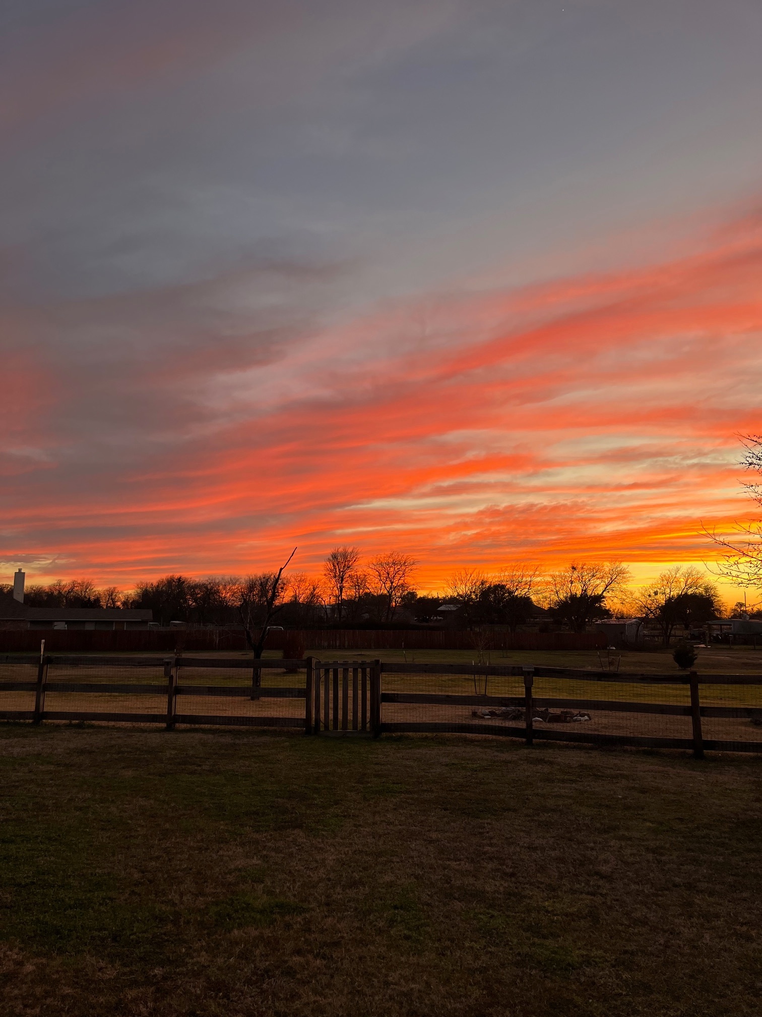 Took this 1/30/25<br />
Michelle Beard<br />
Krugerville Tx