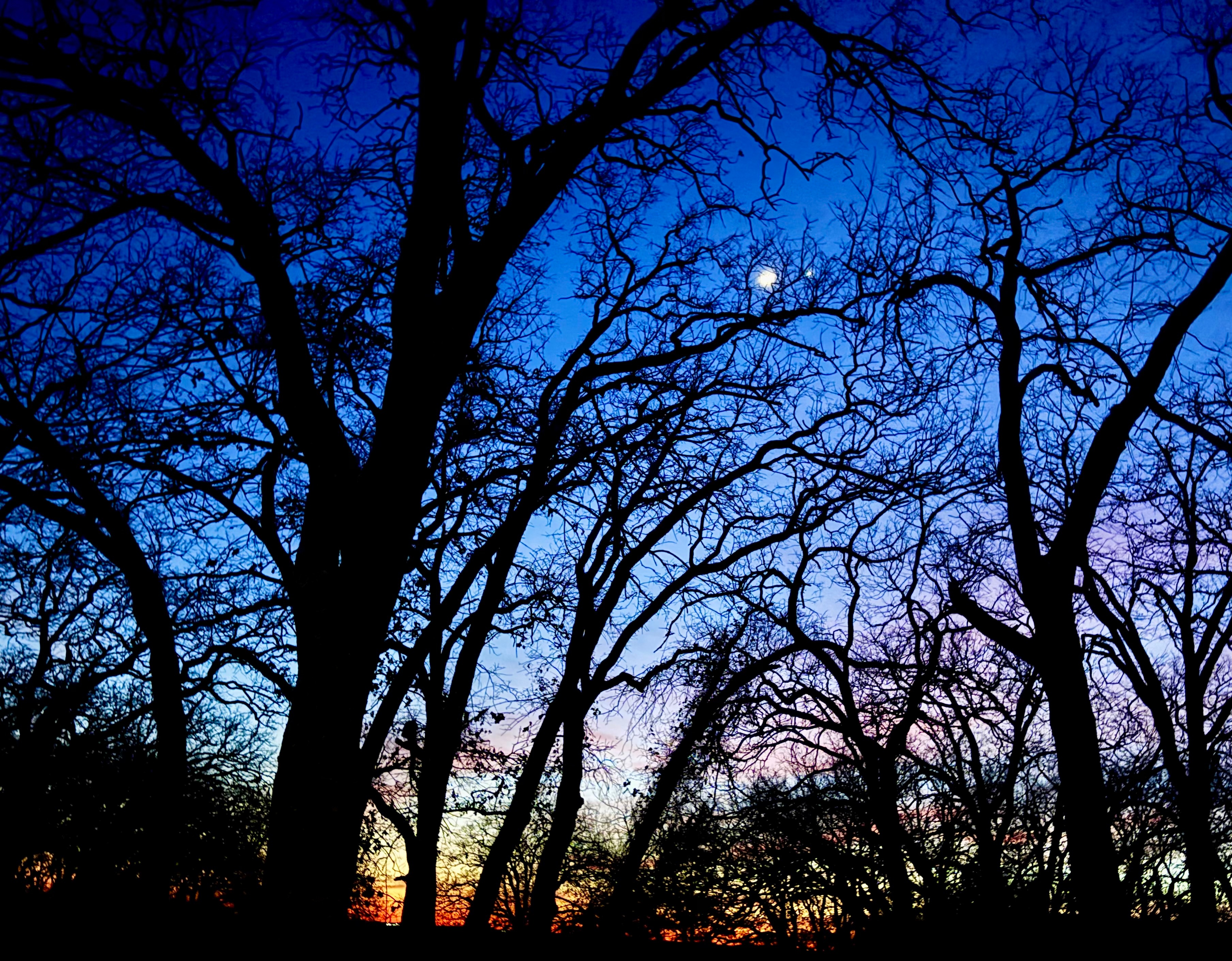 These were taken in Gainesville Texas Sunday night.