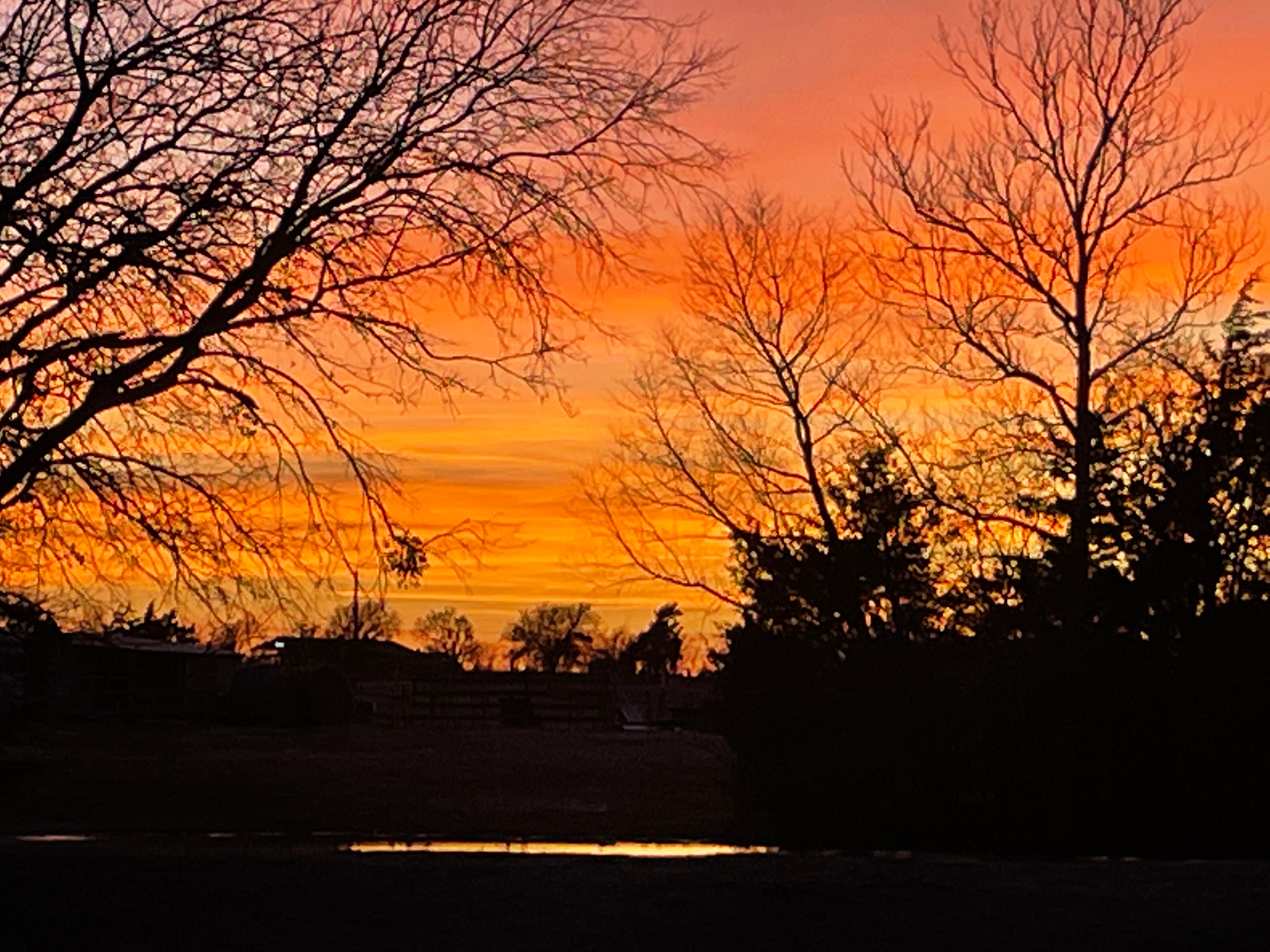 Sunset pic taken on 2/4/25 in the back pasture in of our ranch in Blue Ridge.