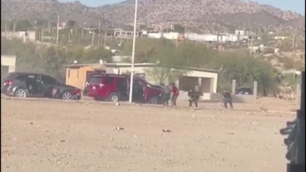 Mexico extradites 29 cartel members to U.S. amid deportations – NBC 5 Dallas-Fort Worth