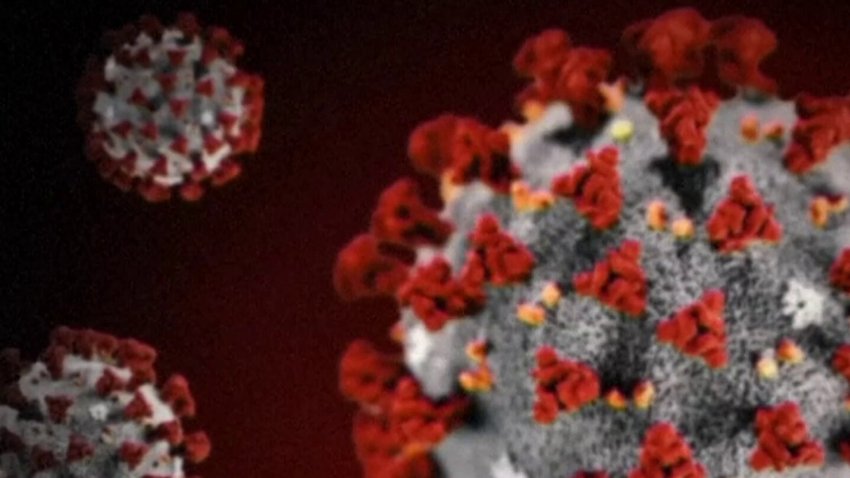 How the COVID-19 virus changed the world