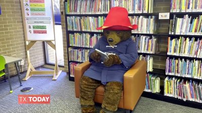 Meet Paddington Bear at Fort Worth Public Library!