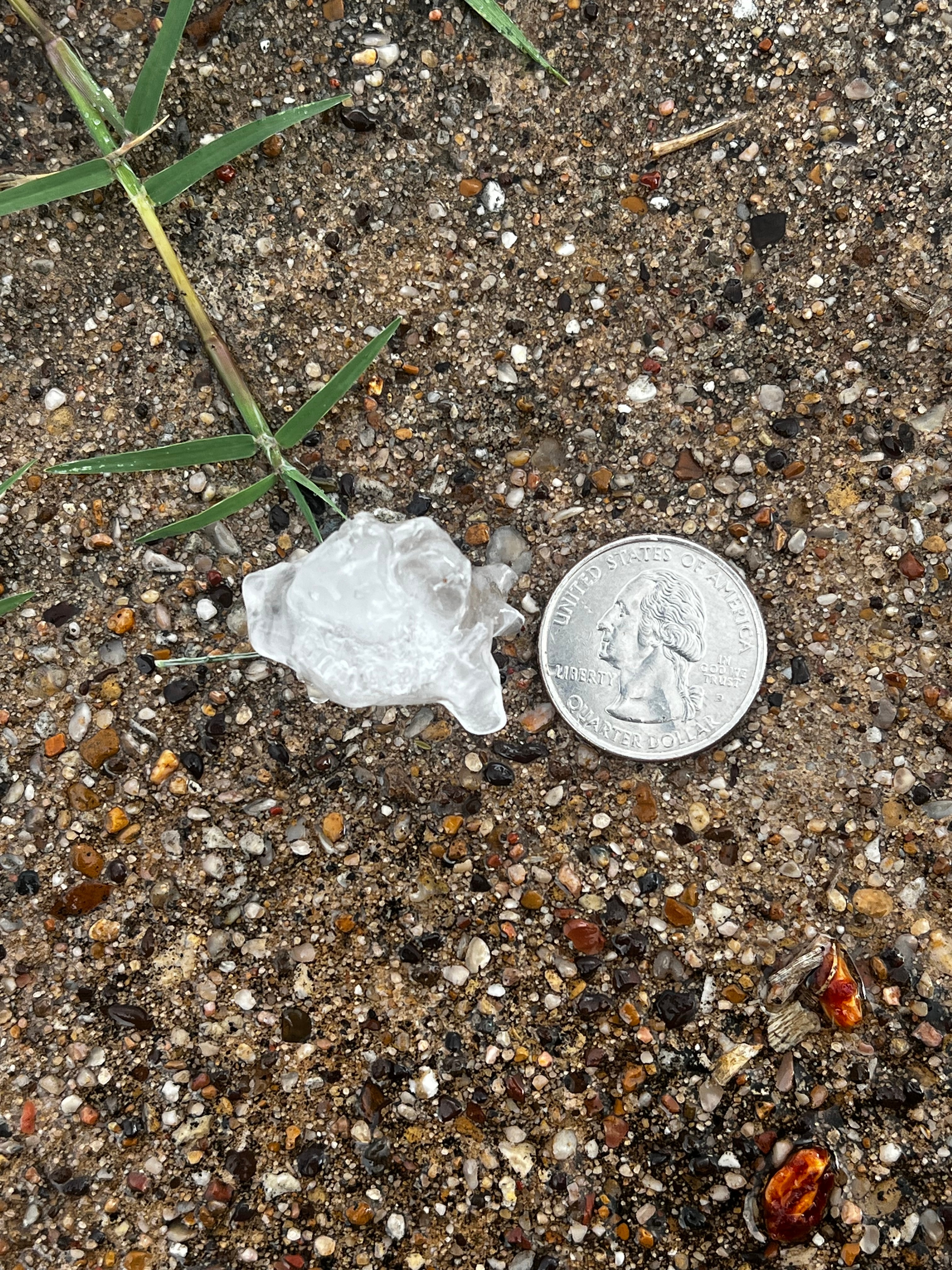 PHOTOS: Hail in North Texas on March 25 – NBC 5 Dallas-Fort Worth