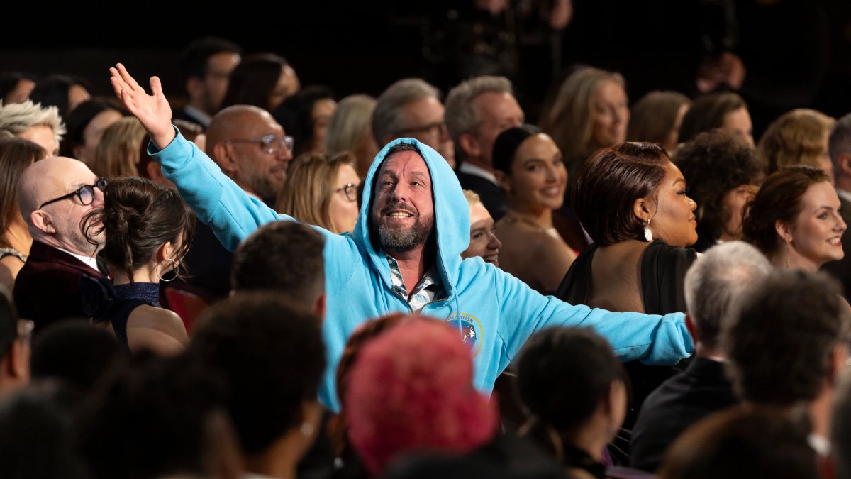 Adam Sandler makes a hilarious cameo in a hoodie at the Oscars