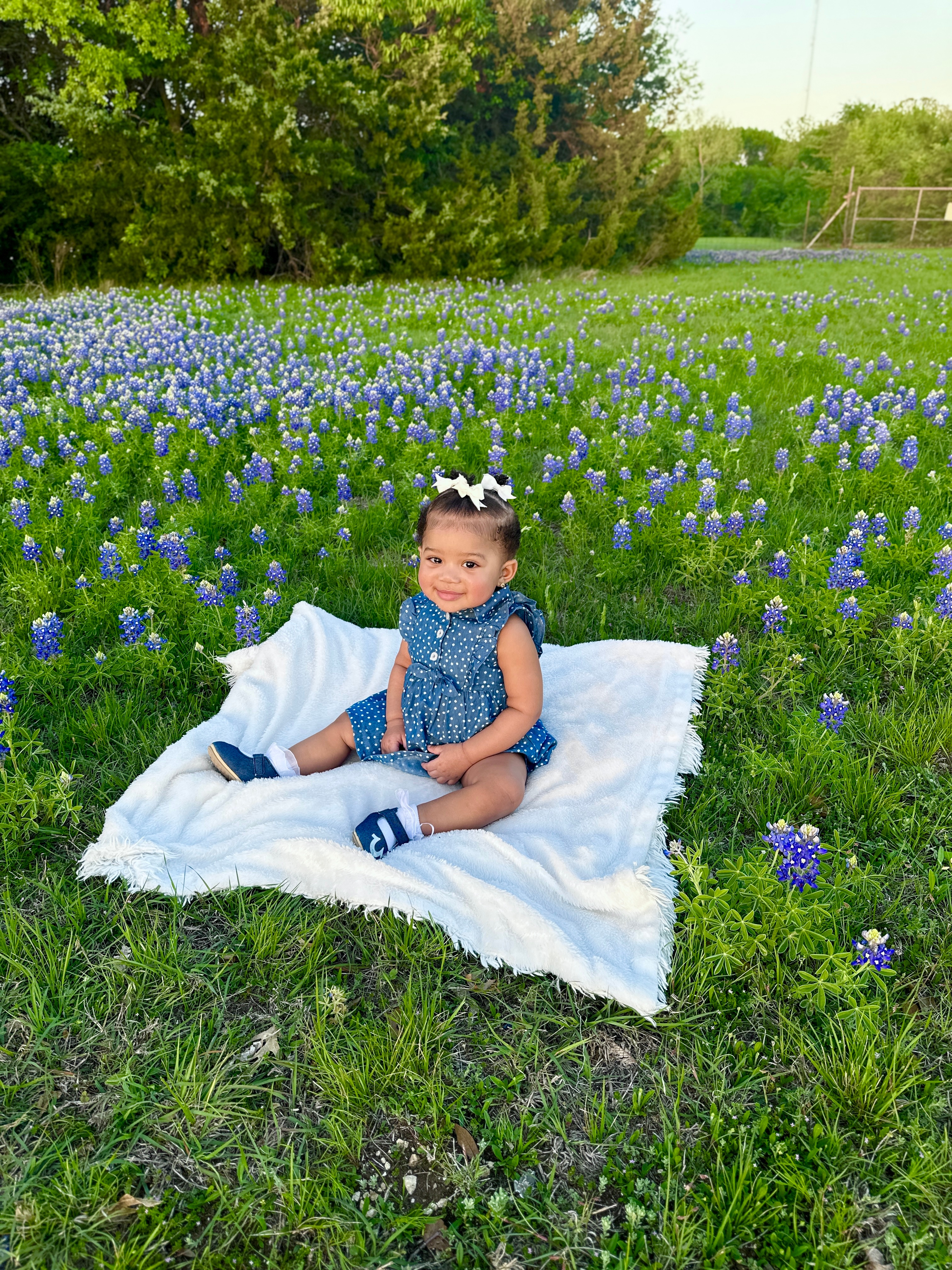 Kensley Reign blue bonnet picture