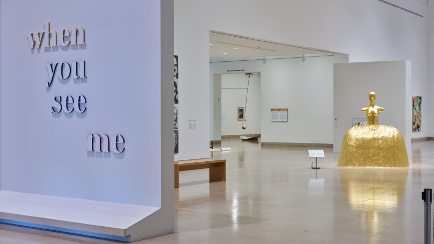 Entrance of When You See Me at Dallas Museum of Art