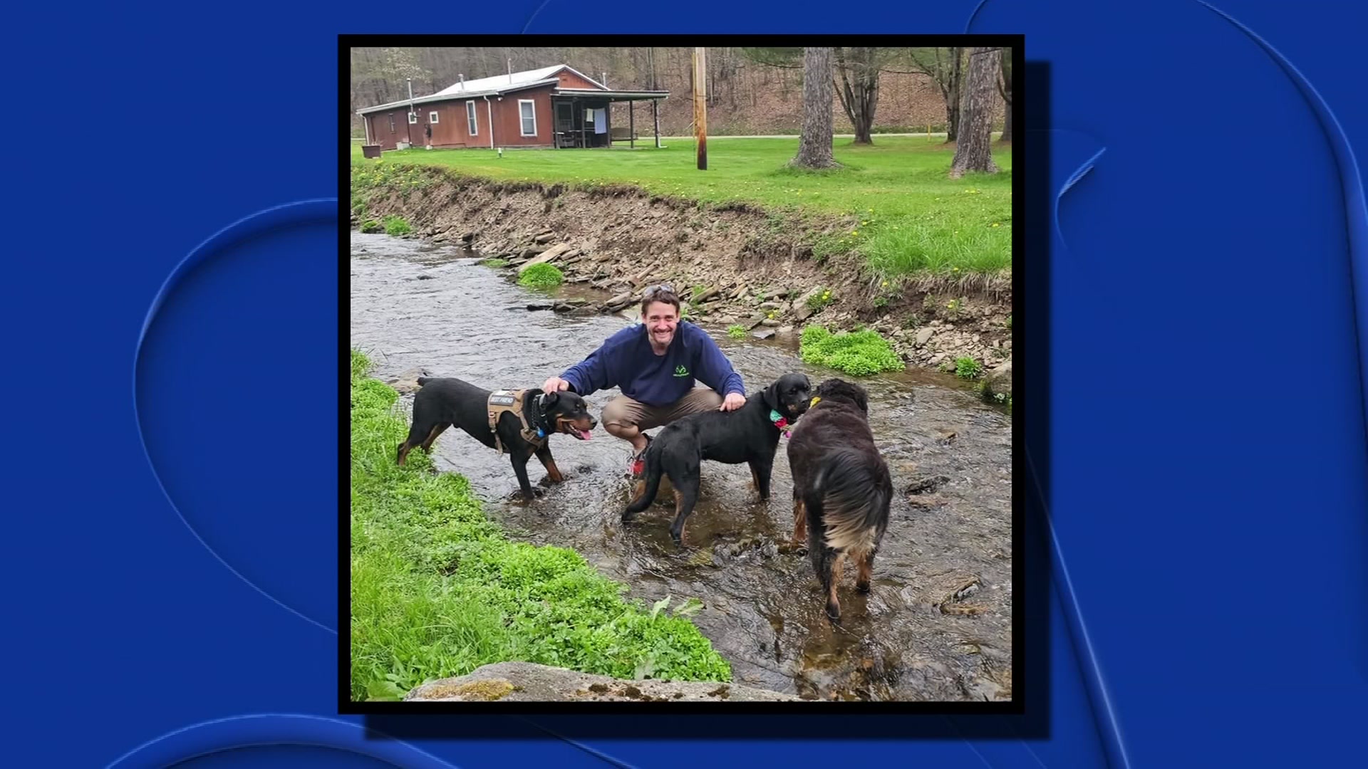 Animals from ‘Wings of Rescue' mission settle into their new homes