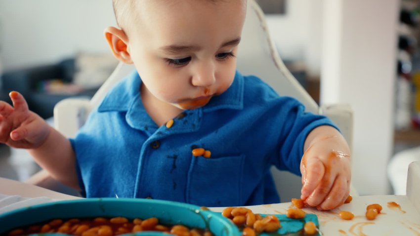 [CNBC] Harvard-trained pediatrician: The No. 1 ‘overlooked’ superfood more parents need to feed their kids