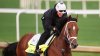 2025 Kentucky Derby horses: Here are the names, posts and jockeys for this year