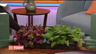 Get growing with The Dallas Garden School