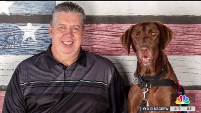 North Texas service dogs help veterans with mental health