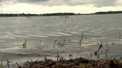 Police searching for suspect following Grapevine Lake crash