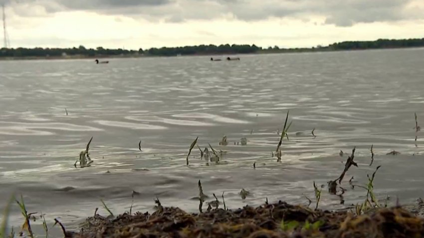 Police searching for suspect following Grapevine Lake crash