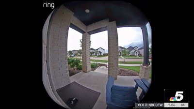 Coyote chases, bites kids in Frisco neighborhood