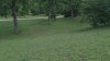 “Aggressive” coyote shot, killed by deputy marshal in Dallas park, police say