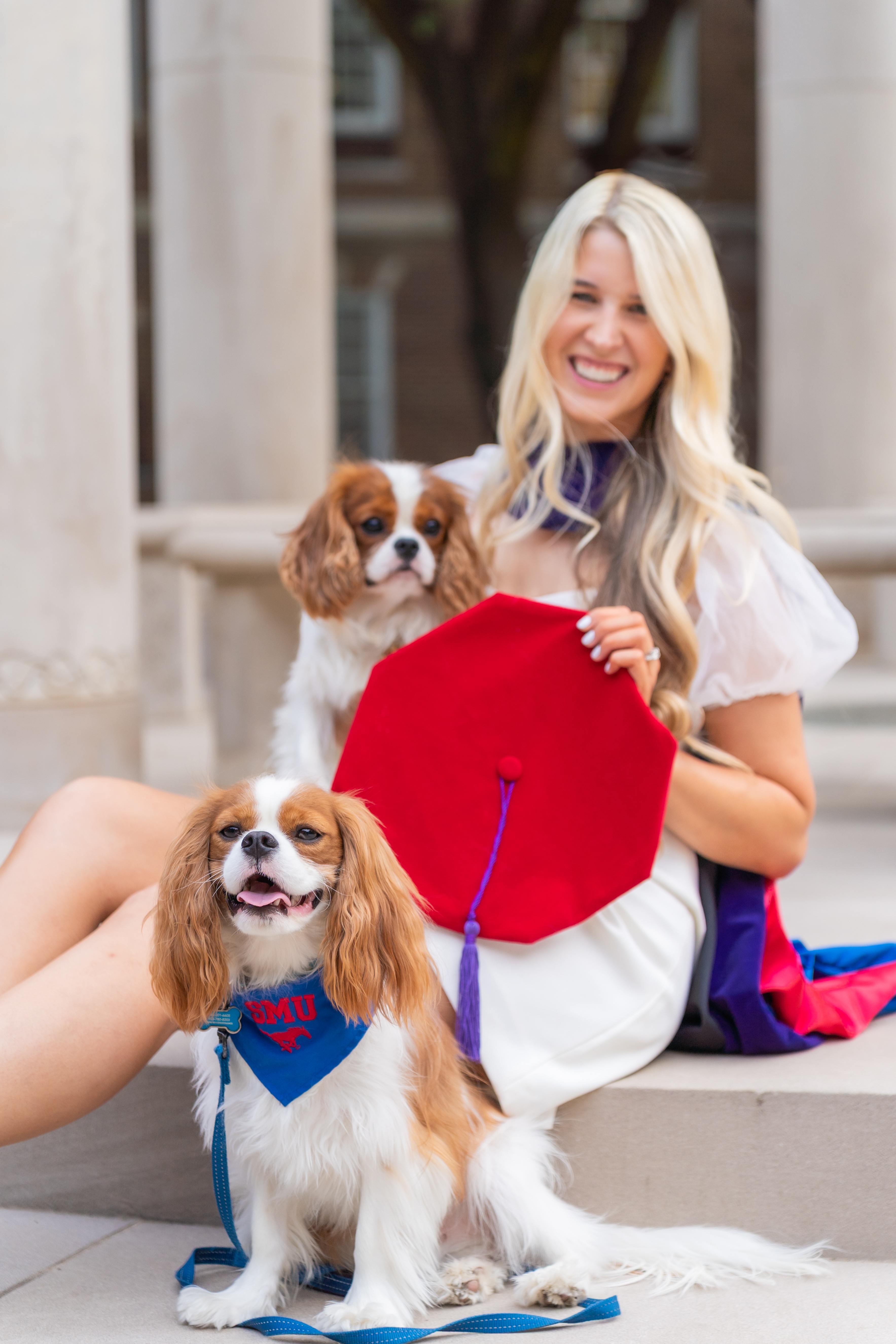 Claire graduated from SMU Dedman School of Law<br />
Her Cavaliers King Charles Charlie and Elliot