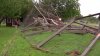 North Texas exotic animal shelter severely damaged by Saturday's storms