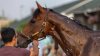 A horse named Journalism? Meet the 2025 Kentucky Derby top contender