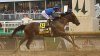 Kentucky Derby-winning jockey suspended, fined $62,000 for striking horse too many times