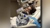 Lewisville teen hospitalized after hit-and-run; police seek driver