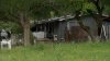 ‘It is a cruel world,' 3 charged in Parker County triple homicide: Affidavit