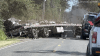Volunteer beekeepers swarm to rescue spilled hives after crash