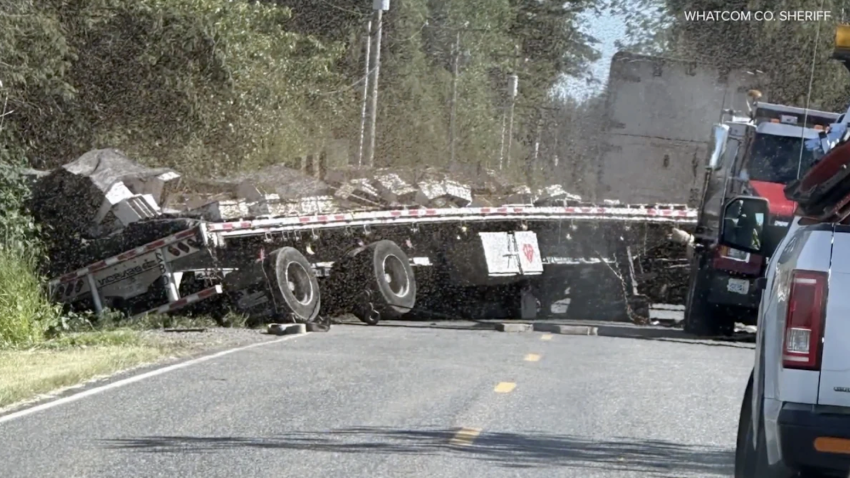 A semi- truck overturned early Friday near the Washington-Canada border, releasing 250 million bees.