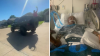 North Texas senior critically injured while playing ‘Senior Assassin' game