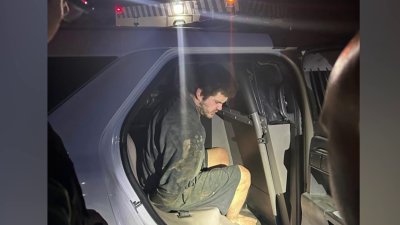 Forney murder suspect taken into custody